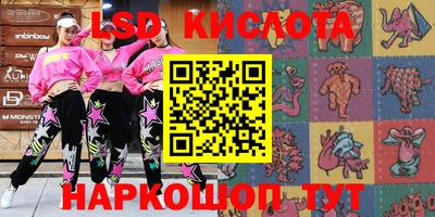 гашик Новодвинск