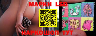 гашик Новодвинск
