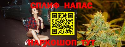 гашик Новодвинск